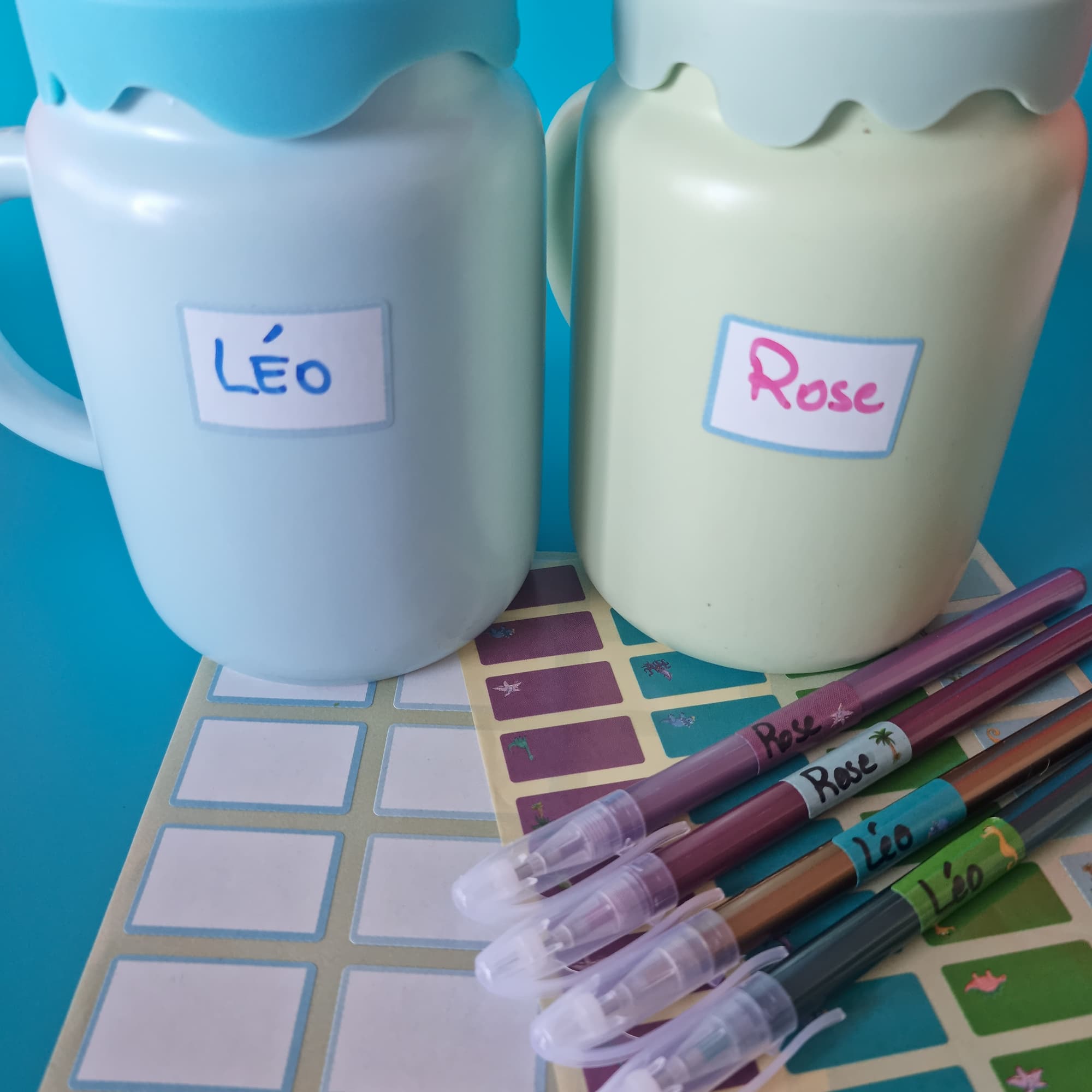 Pack Étiquettes Scolaires “Dinosaures” – 2 Plaquettes Papier Brillant – 32x22 mm et 25x12 mm – 58 Étiquettes au total – Image 4